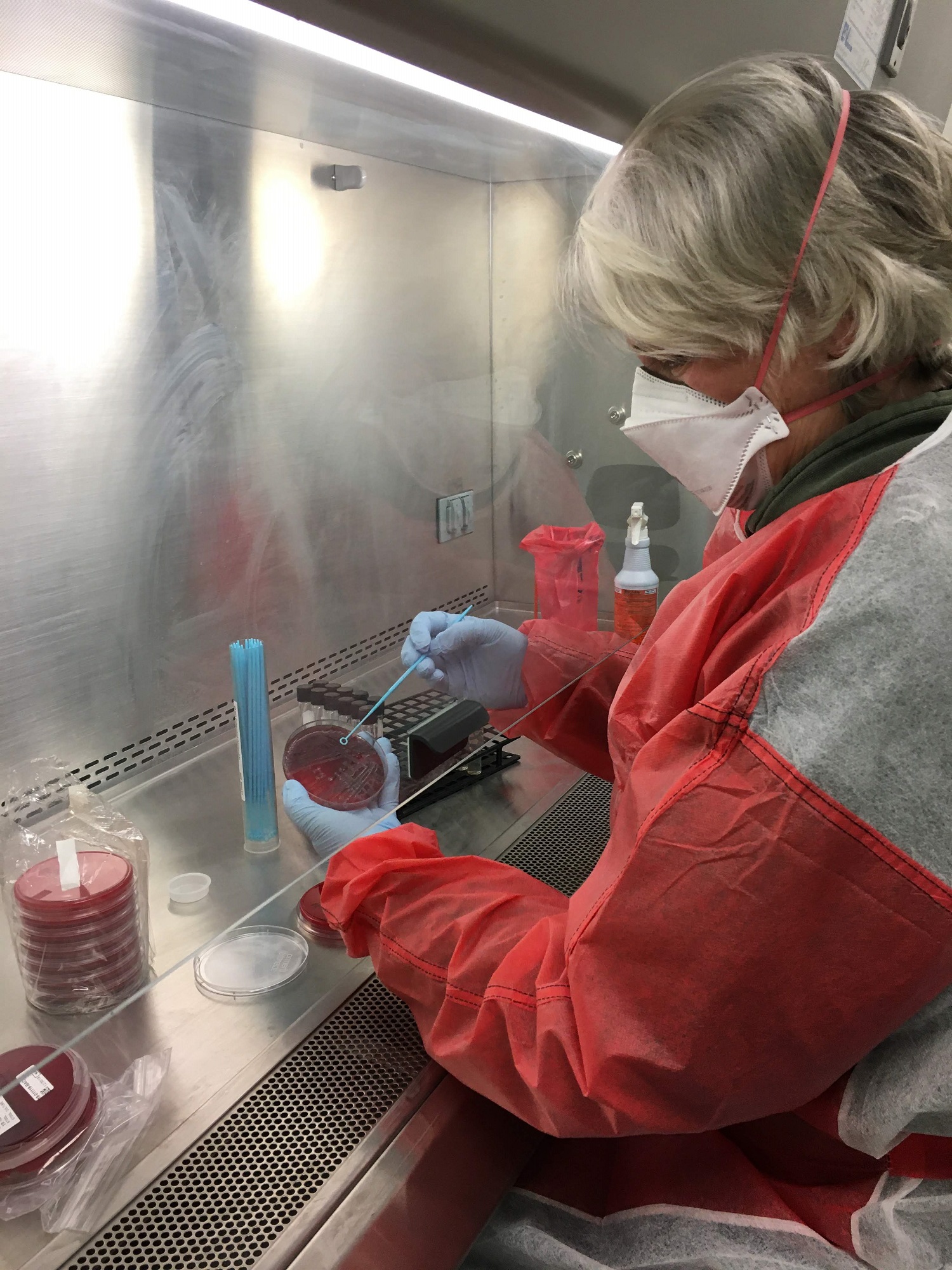 Lab Tests We Offer | Vermont Department of Health