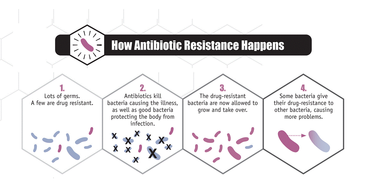 Antibiotic resistance infographic