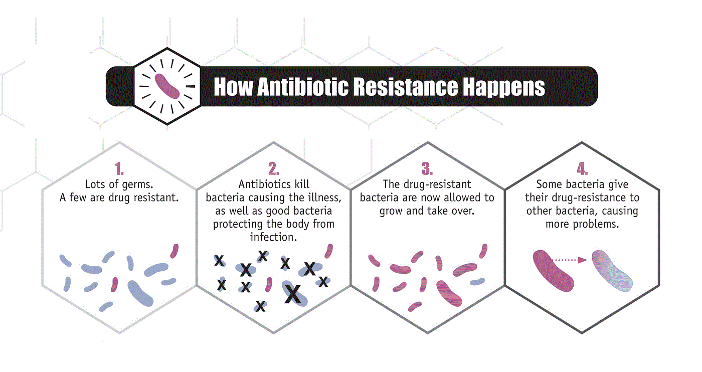 Antibiotic Stewardship Vermont Department Of Health