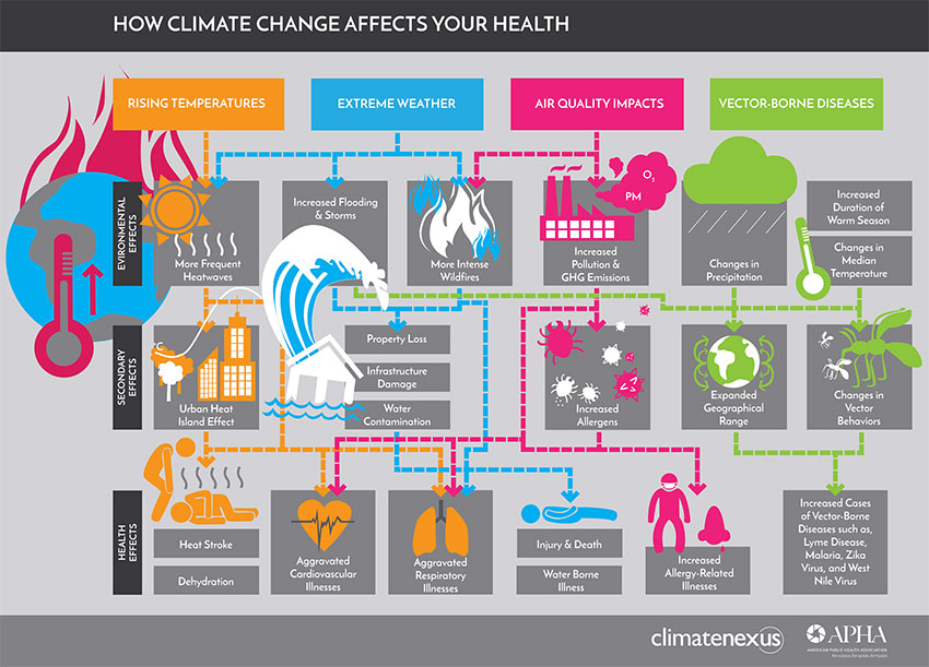 climate change overview diagram of how climate change affects health