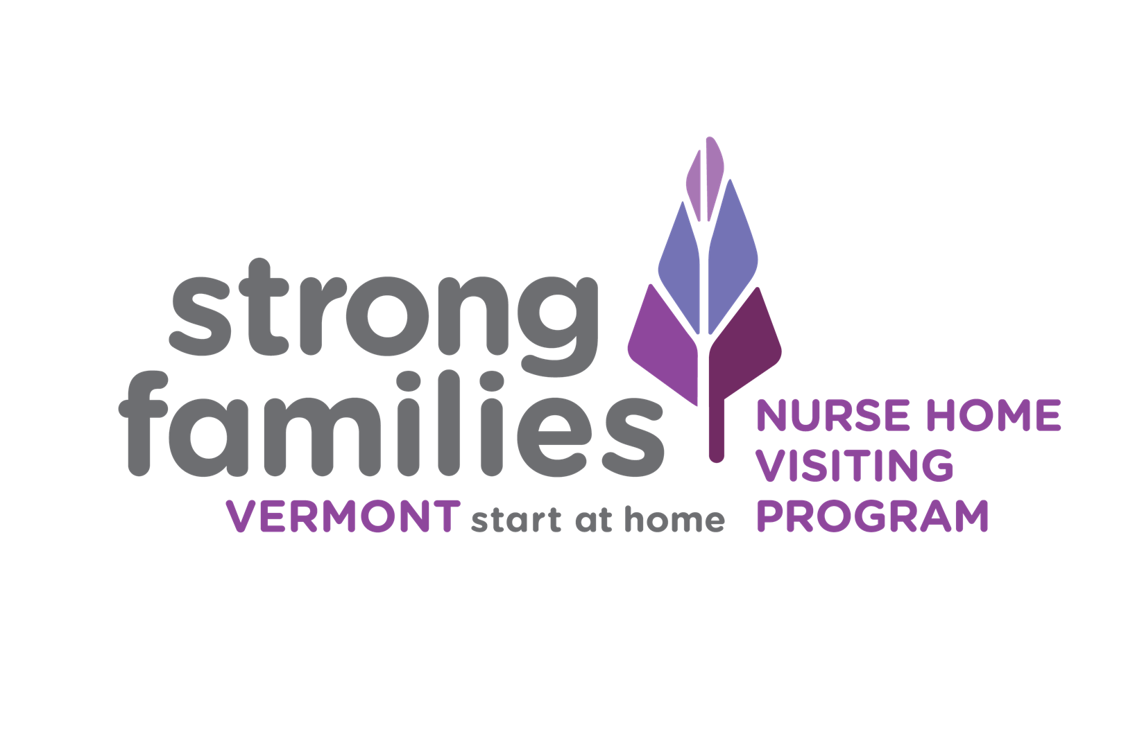 Strong Families Vermont Nurse Home Visiting Program logo