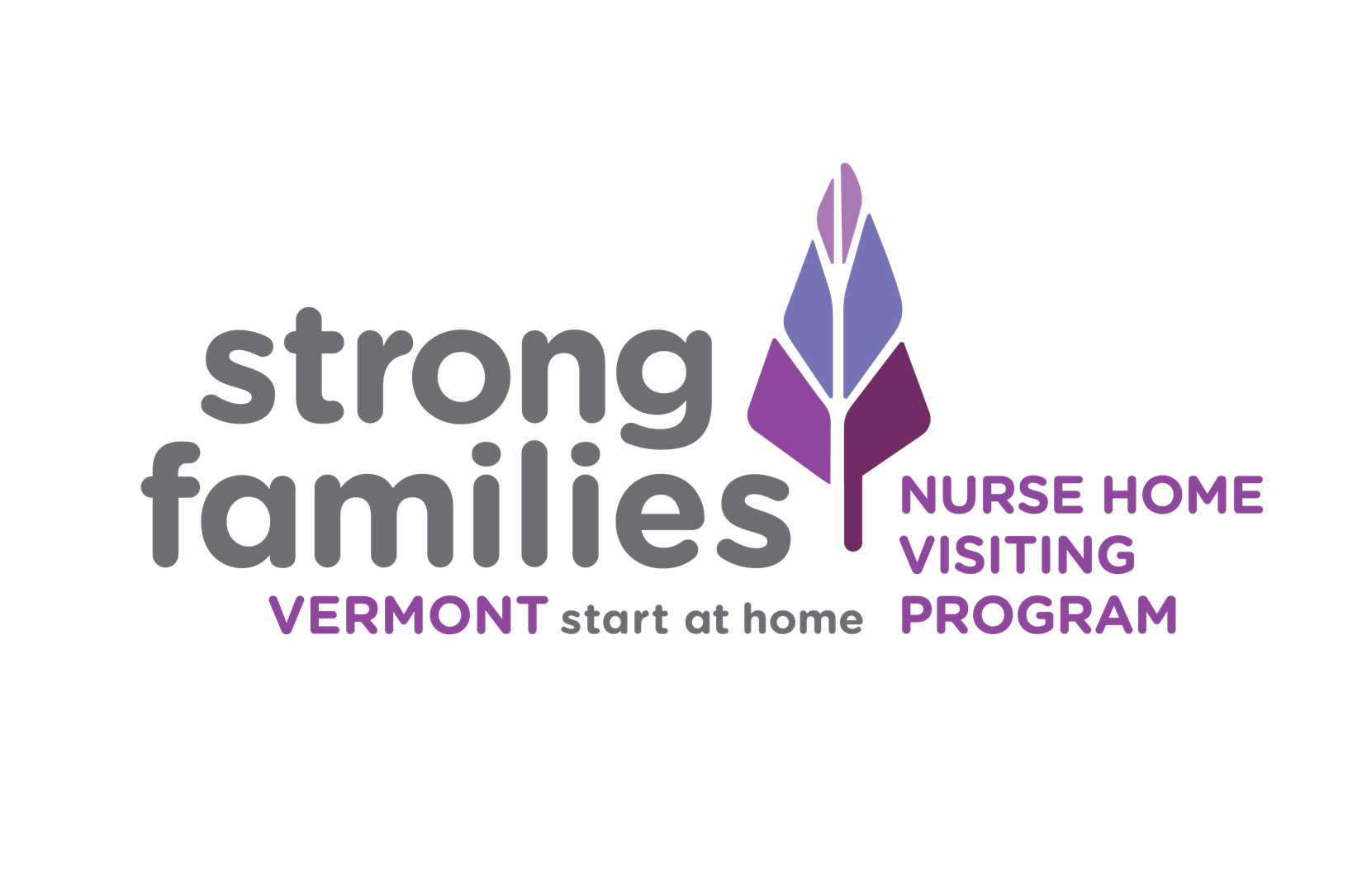 Strong Families Vermont Nurse Home Visiting Program logo Strong Families Vermont Nurse Home Visiting Program logo