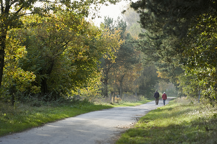 Two people walking on a path in the woods