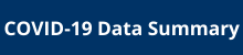 COVID-19 Data Summary