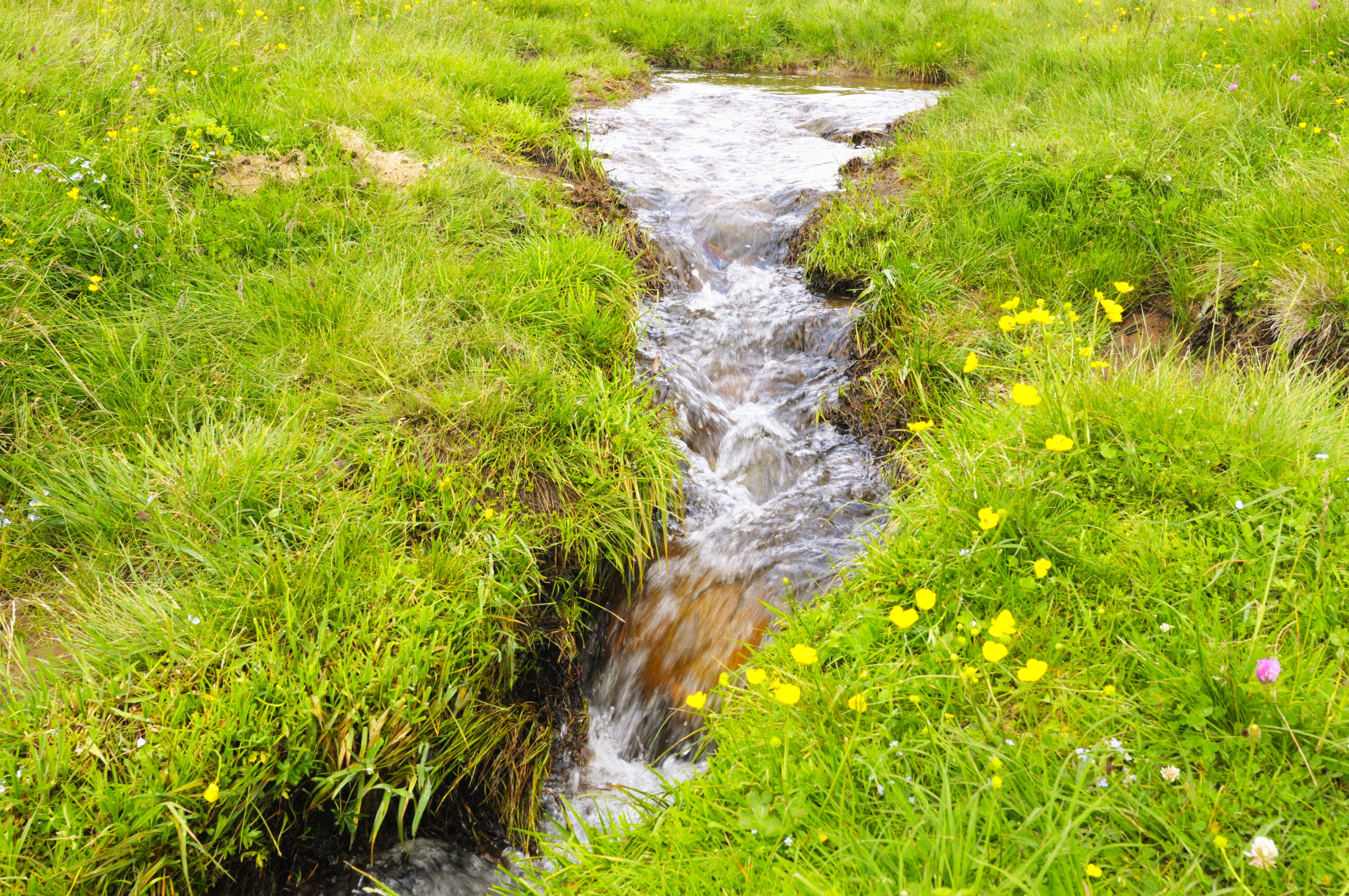 groundwater spring groundwater spring
