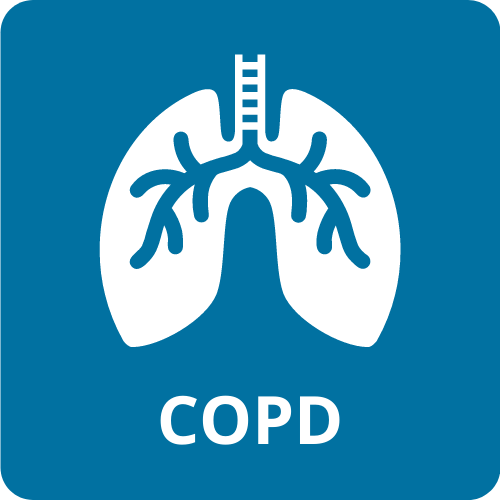 chronic obstructive pulmonary disease (COPD)