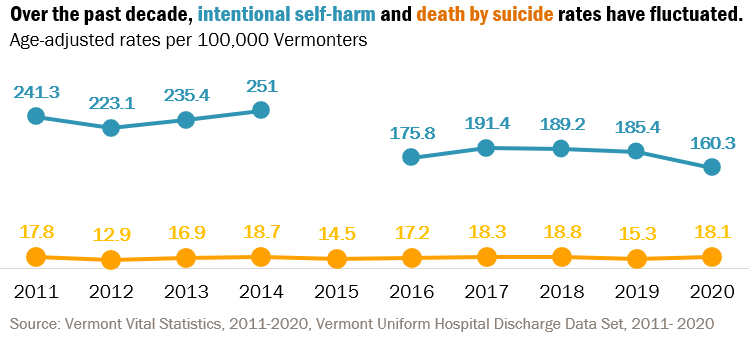 Over the past decade, intentional self-harm and death by suicide rates have fluctuated.