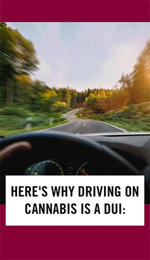 Let's Talk Cannabis safe driving GIF