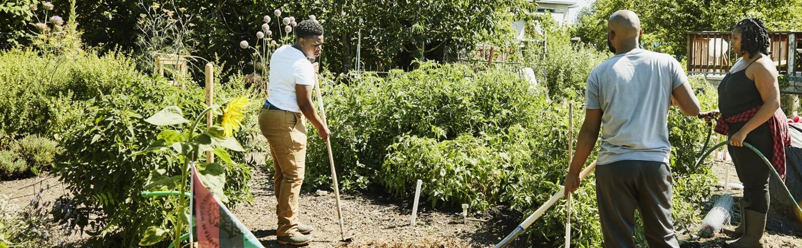 people working in community garden