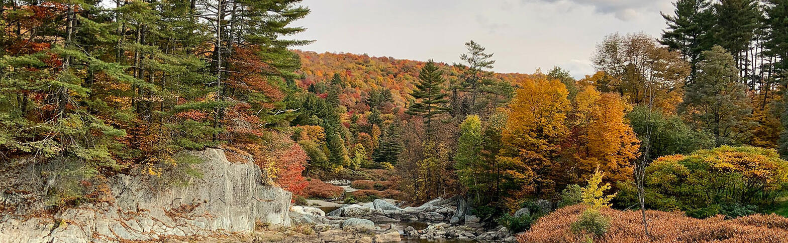 River scene during fall foliage in Vermont. Mountains and trees in the background with a rocky river bed and river in the foreground.
