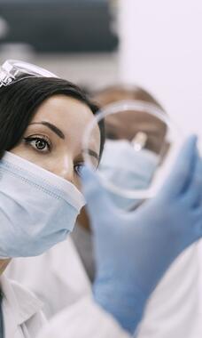 person looking at petri dish