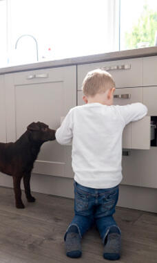 Child and dog looking in kitchen drawer