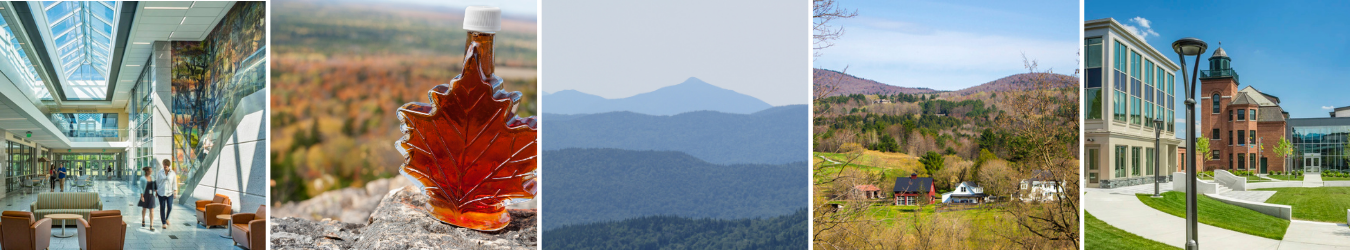 A banner collection of Vermont scenery