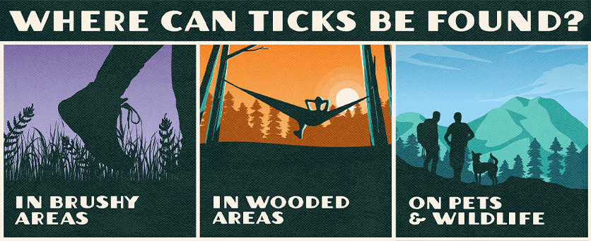 Where can ticks be found graphic