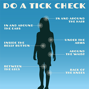 Tick check graphic