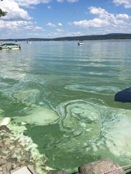lake with cyanobacteria