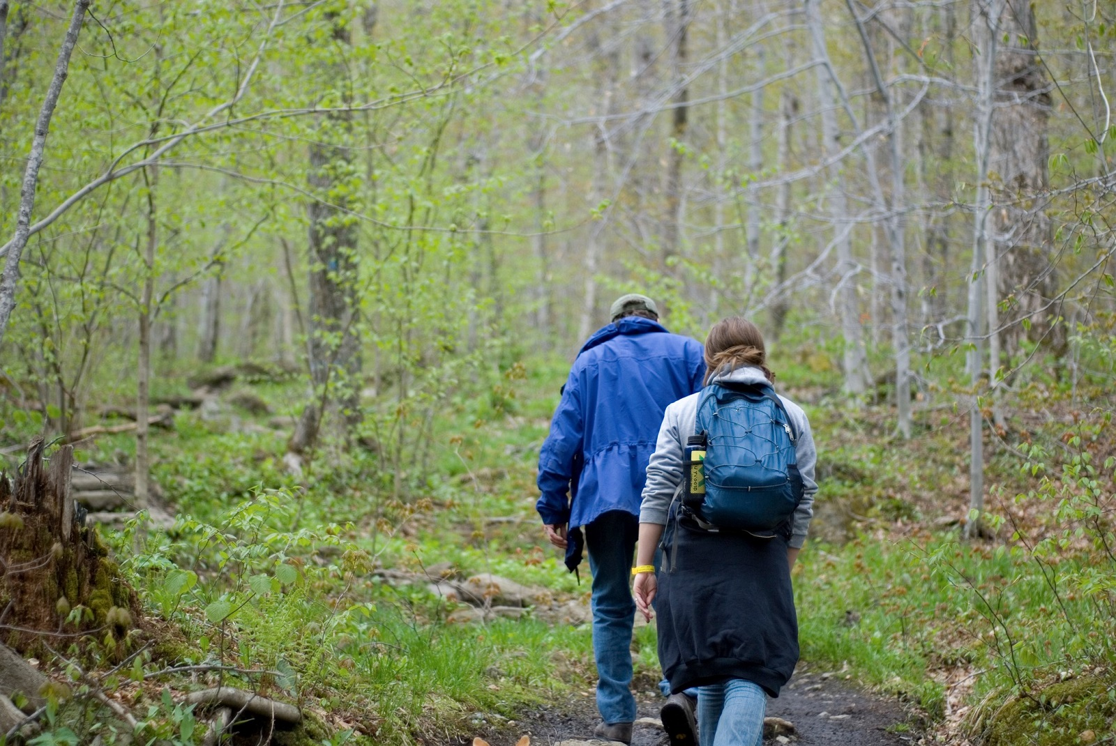Two people hiking on a trail. 