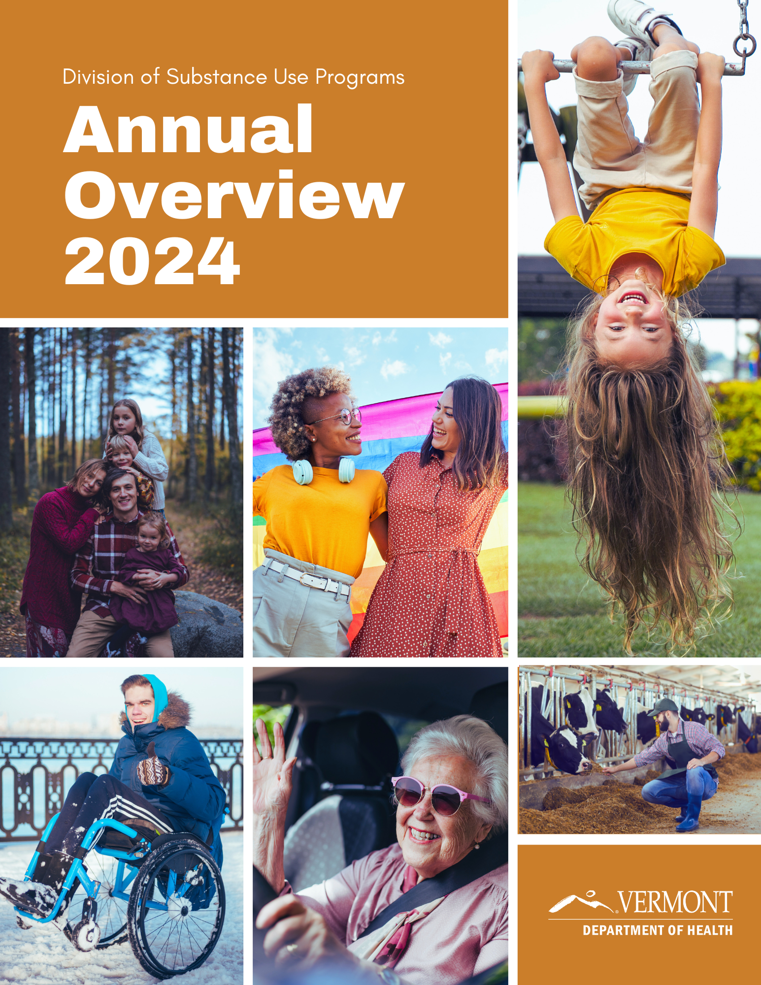 Cover page of the DSU Annual Overview 2024