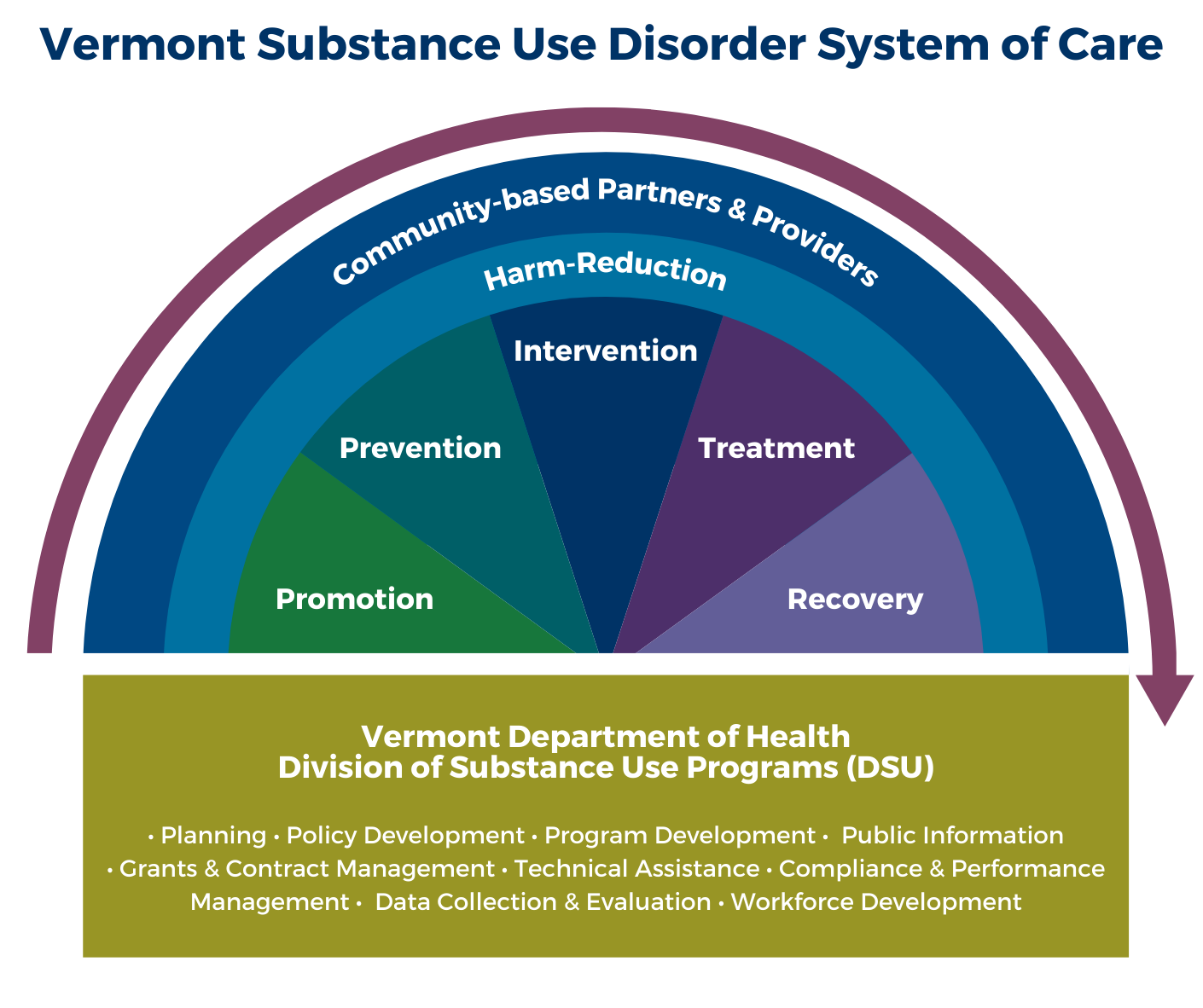 DSU System of Care