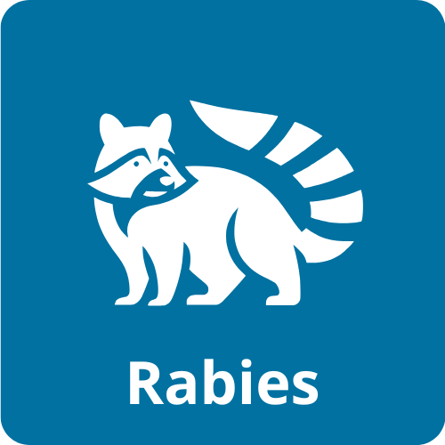 Rabies