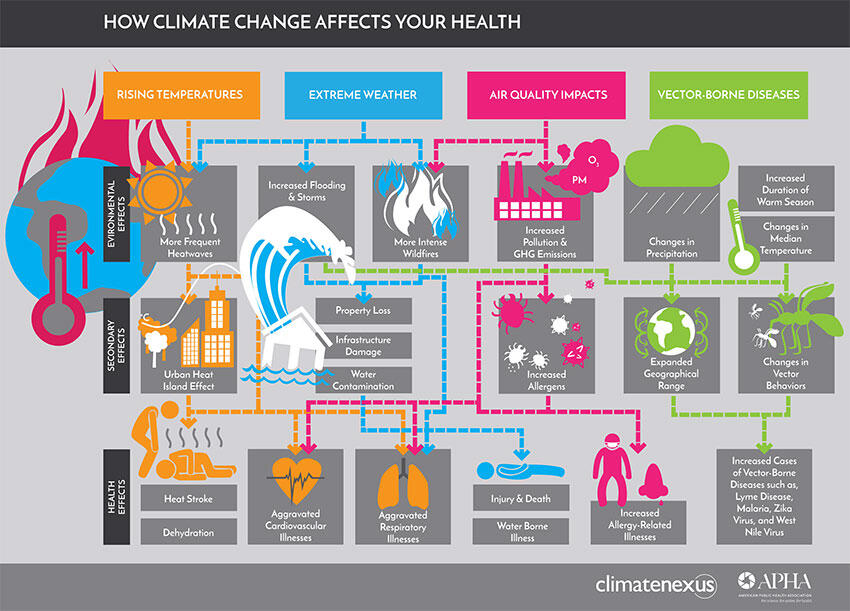 infographic showing how climate change affects your health