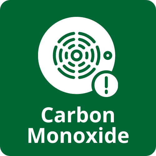 carbon monoxide