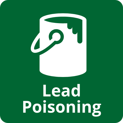 lead poisoning