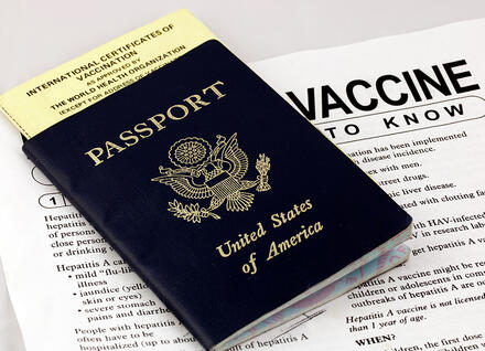 travel health immunization services