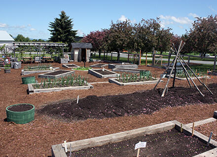 raised gardens beds and paths