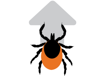 tick with upward arrow