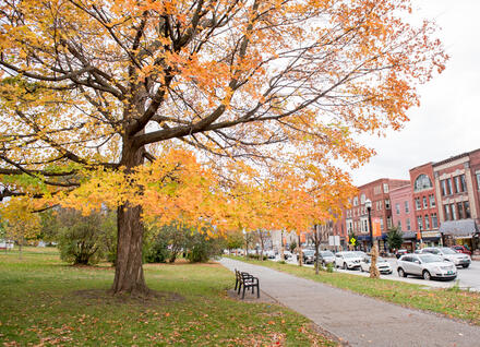 Taylor Park, St. Albans