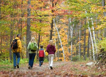 Family hiking in woods