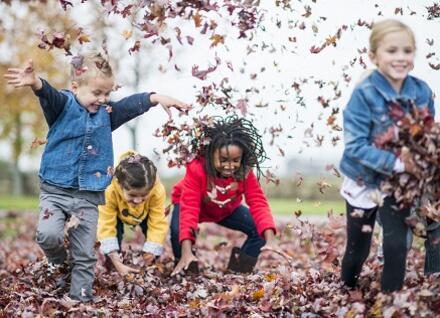 children throwing leaves