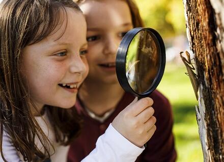 children looking at insect through magnifying glass