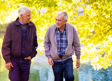 Senior men walking in fall leaves Senior men walking in fall leaves