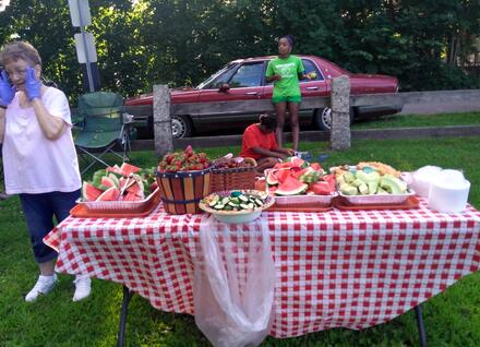 healthy food on picnic table