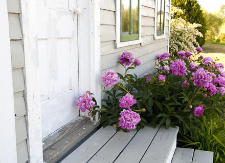 porch with peeling paint House