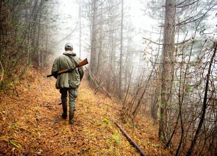 Back view of a hunter with rifle walking up the hill in the forest.
