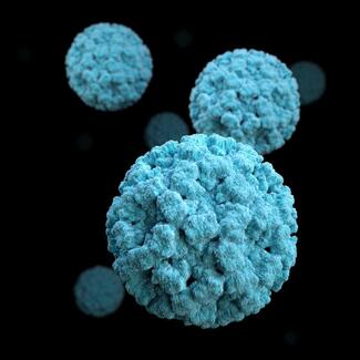 Norovirus particles