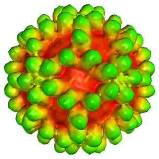 West Nile Virus Particle