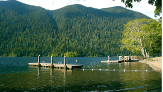 Lake with a dock and roped-off swim area.