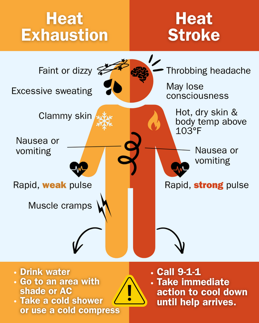 Signs of heat exhaustion: feeling faint or dizzy; excessive sweating; clammy skin; nausea or vomiting; rapid, weak pulse; muscle cramps. If you have these symptoms: drink water, go to an area with shade or AC, take a cold shower or use a cold compress. Signs of heat stroke: Throbbing headache; may lose consciousness; hot, dry skin and body temp above 103F; nausea or vomiting; rapid, strong pulse. If you have these symptoms: call 9-1-1 and take immediate action to cool down until help arrives.