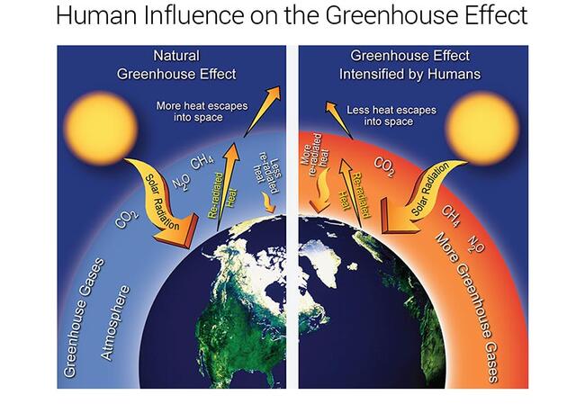 human influence on the greenhouse effect