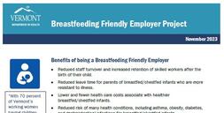 Image of Breastfeeding Friendly Employer Project factsheet.