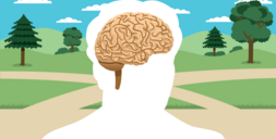 illustrated image of a child's brain