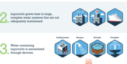 How Legionella affects building water systems and people infographic