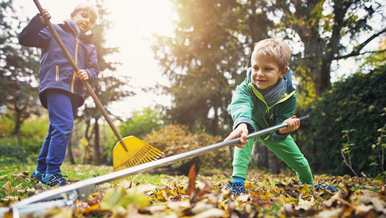 children raking